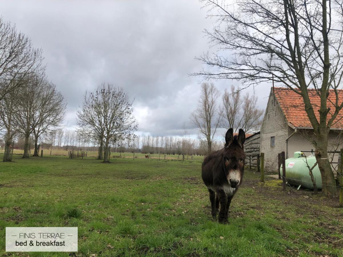 Appartement Aan Puyenbroeck Wachtebeke Luaran gambar